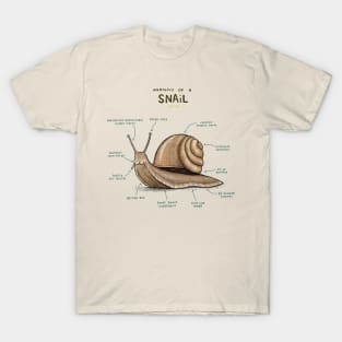 Anatomy of a Snail T-Shirt